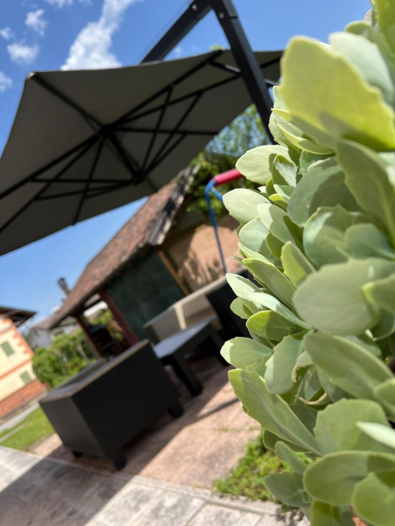 San Marcello Residence Feltre Exterior foto